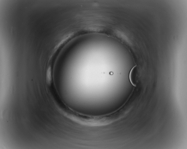 X0000085020020200703121552