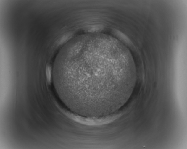 X0000085020022200703121552