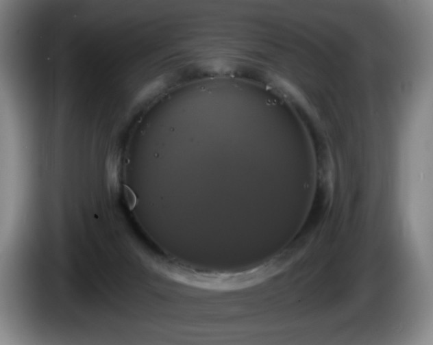 X0000085020023200703121552