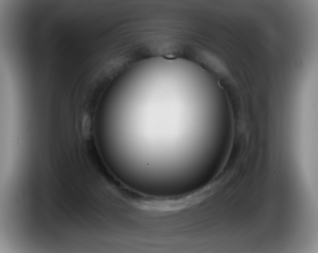 X0000085020025200703121552