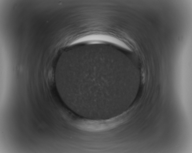 X0000085020029200703121552