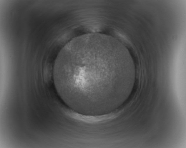 X0000085020030200703121552