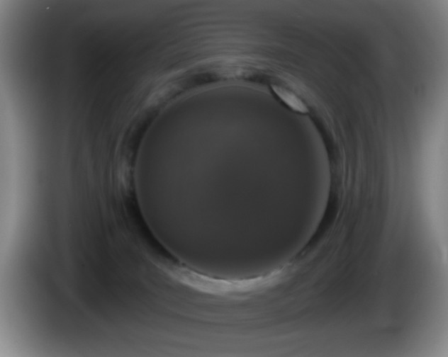 X0000085020035200703121552