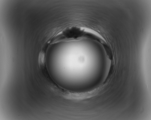 X0000085020041200703121552