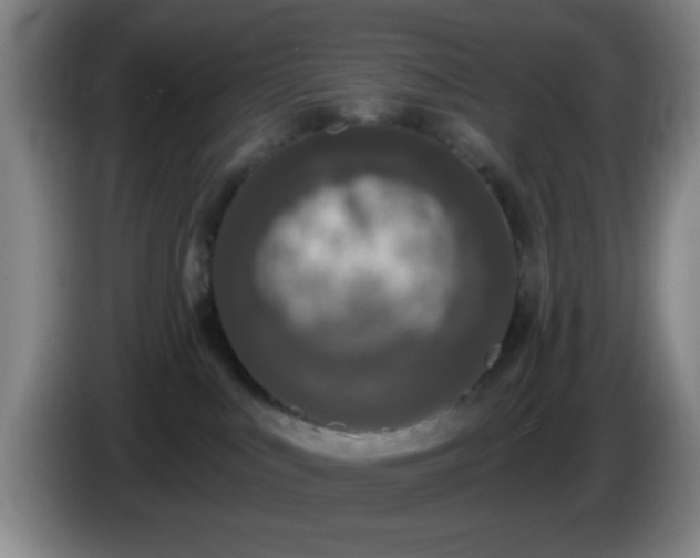 X0000085020043200703121552