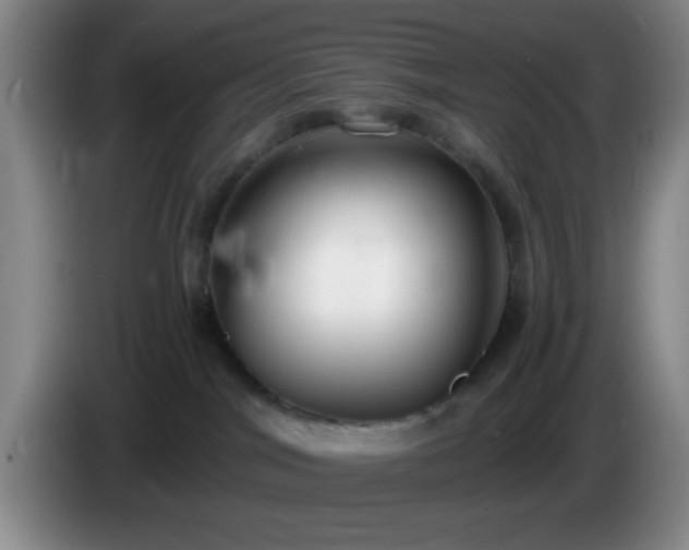 X0000085020044200703121552