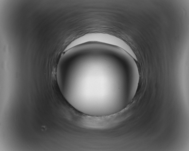 X0000085020045200703121552