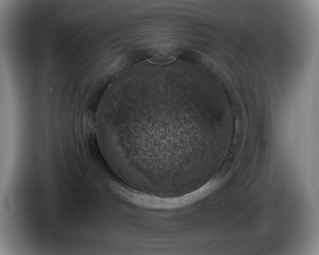 X0000085020048200703121552