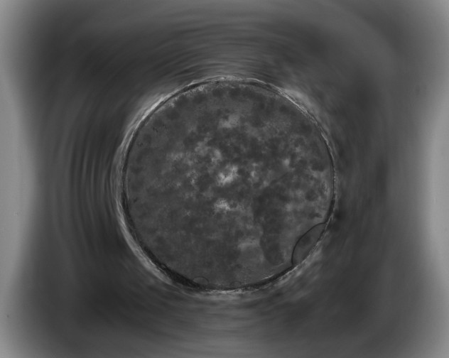 X0000085020049200703121551