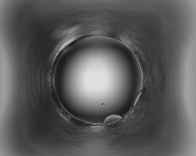 X0000085020050200703121551