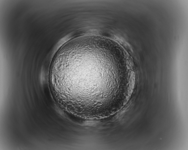 X0000085020051200703121551