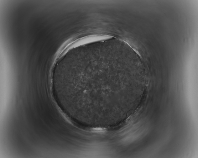 X0000085020053200703121551