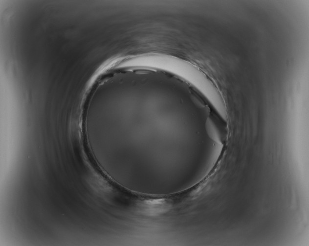 X0000085020054200703121551
