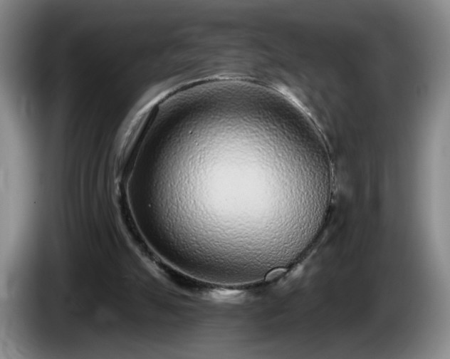 X0000085020055200703121551