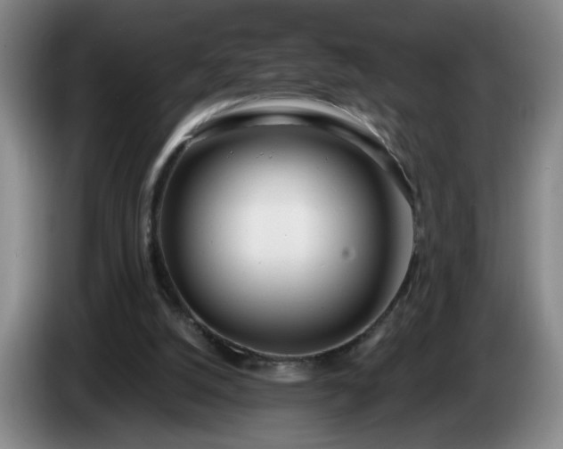 X0000085020056200703121551