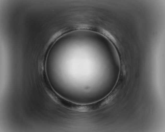 X0000085020059200703121551