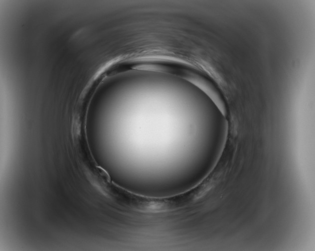 X0000085020060200703121551