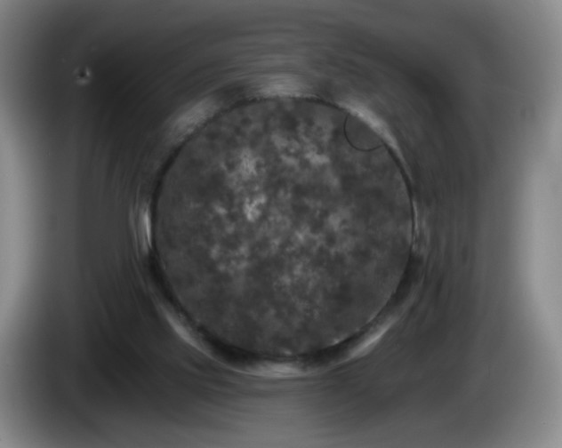 X0000085020061200703121551