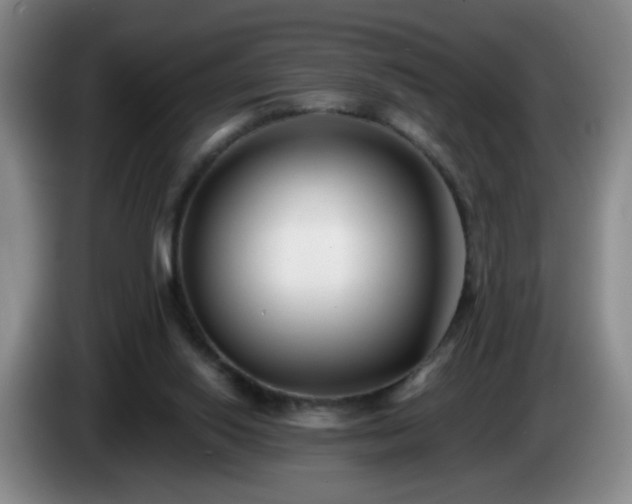 X0000085020062200703121551