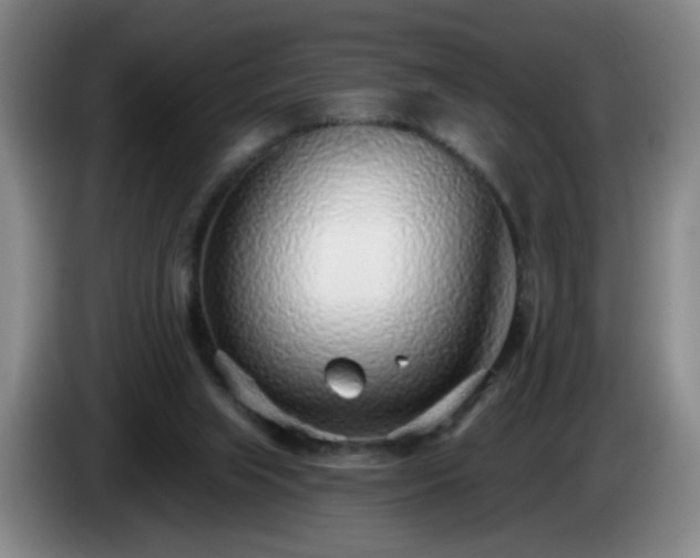 X0000085020063200703121551