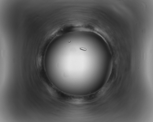 X0000085020066200703121551