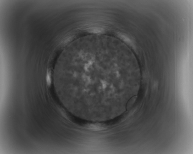 X0000085020069200703121551
