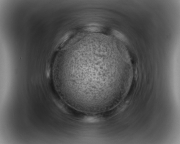 X0000085020072200703121551