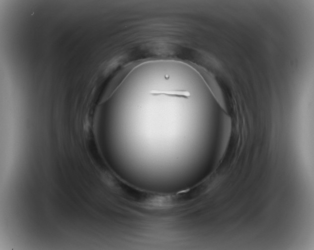 X0000085020084200703121551