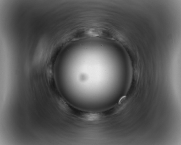 X0000085020085200703121551