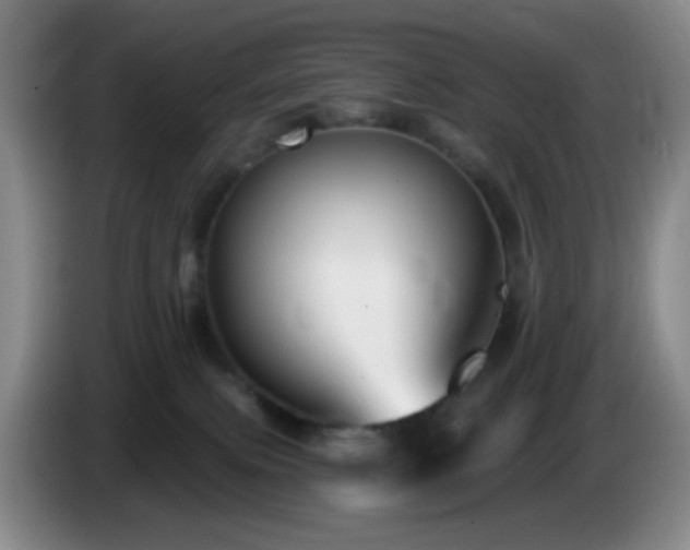 X0000085020087200703121551