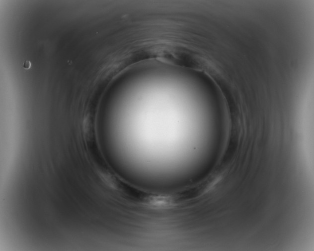 X0000085020088200703121551