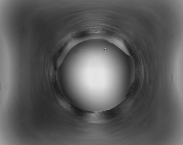 X0000085020092200703121552