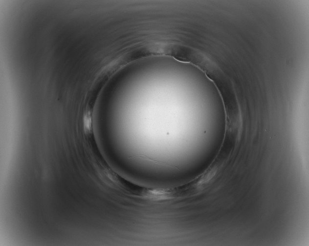 X0000085020095200703121552