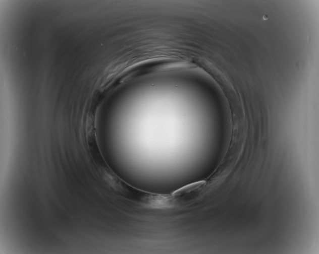 X0000085020096200703121552