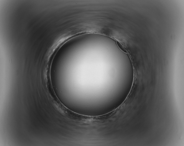 X0000085020098200703121551