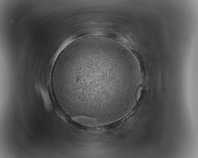 X0000085020099200703121551