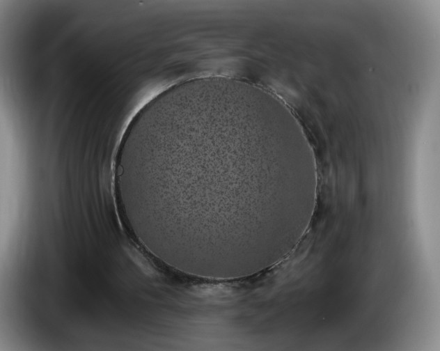 X0000085020100200703121551