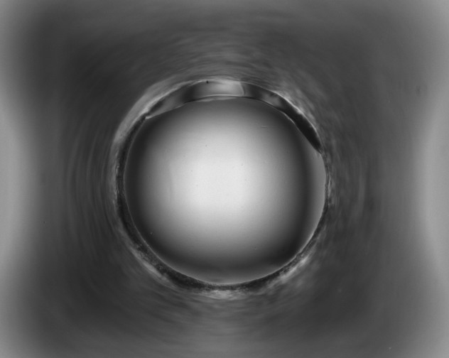 X0000085020101200703121551