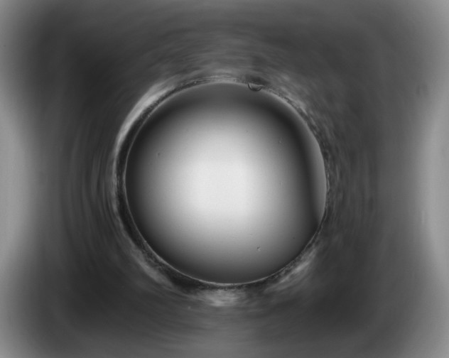 X0000085020102200703121551