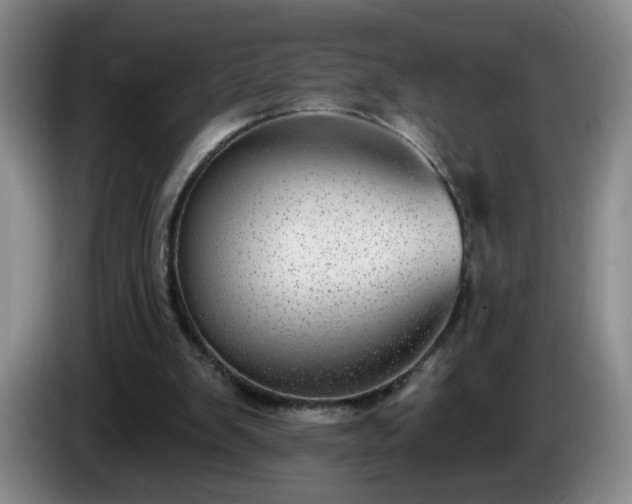X0000085020103200703121551