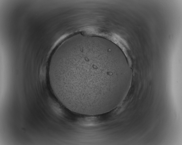 X0000085020108200703121551