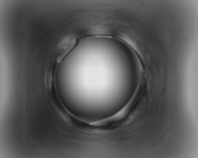 X0000085020109200703121551