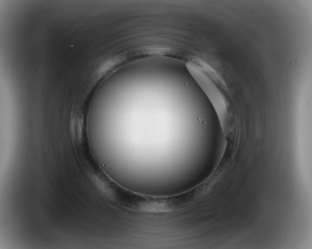 X0000085020110200703121551