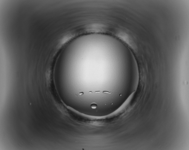 X0000085020111200703121551