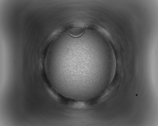 X0000085020114200703121551