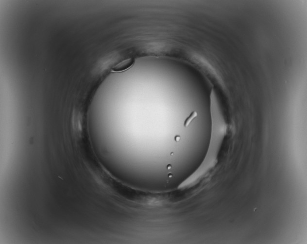 X0000085020115200703121551