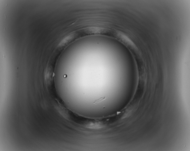 X0000085020119200703121551