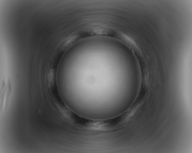 X0000085020121200703121551