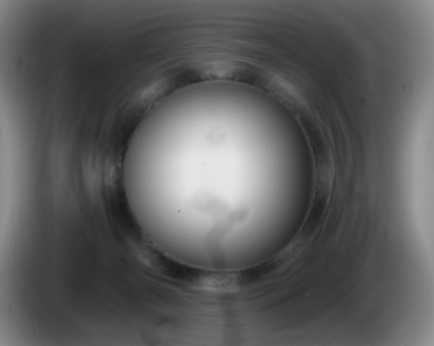 X0000085020126200703121551