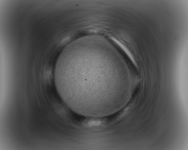 X0000085020127200703121550